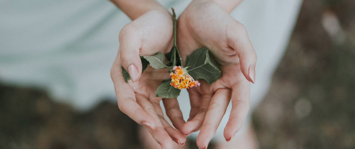 02191732-bobbo-sintes-500650-unsplash_cover_2000x1333